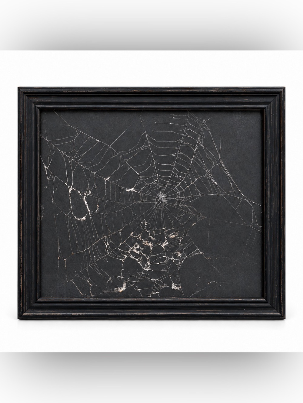 Real Spiderweb Art in Black gold accent Frame